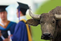 Cử nhân về quê nuôi giun, đại gia không cần bằng đại học