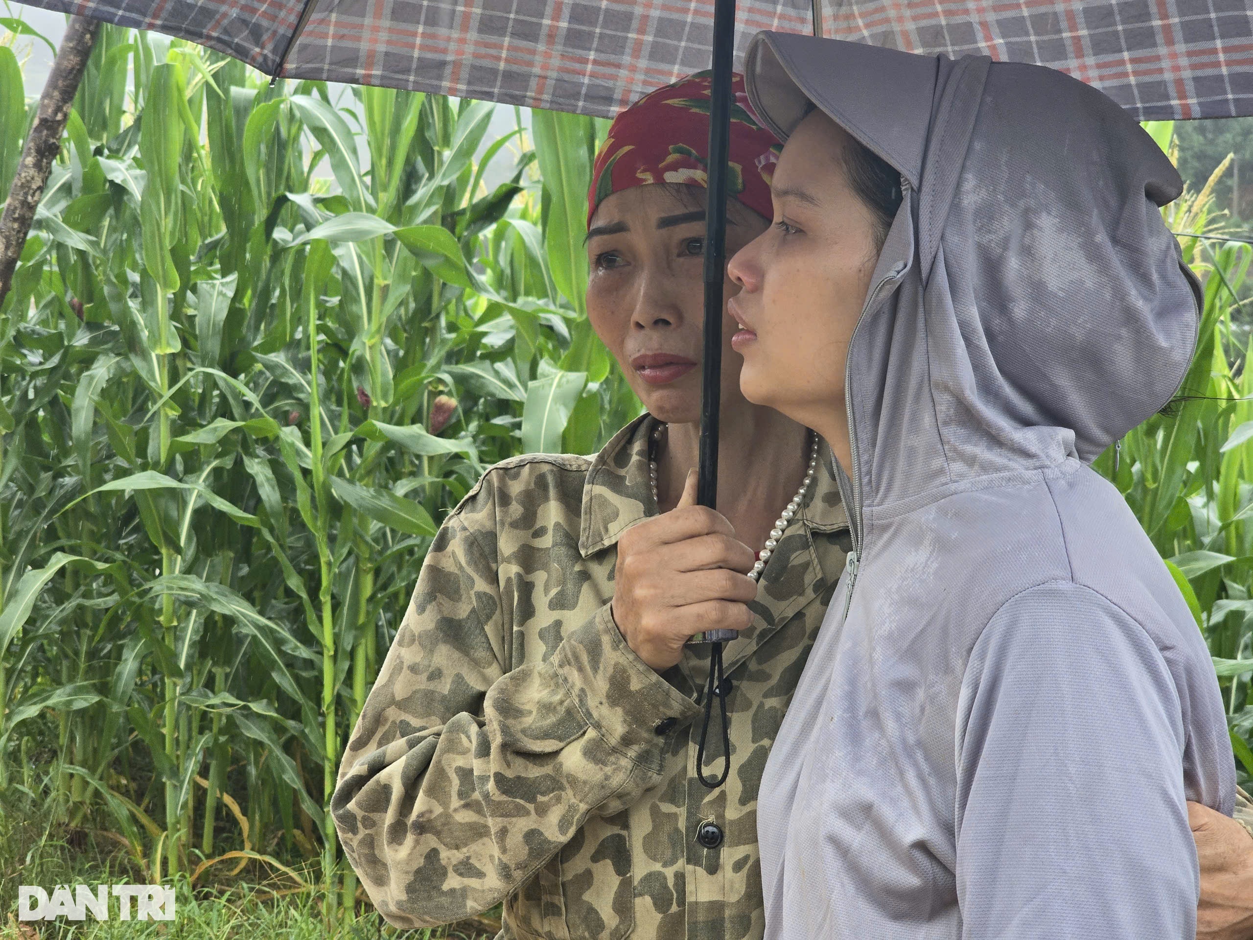 View - Tang thương Làng Nủ | Báo Dân trí