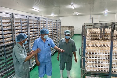 Bình Phước có tổ hợp chế biến thịt gà "khủng" nhất Việt Nam