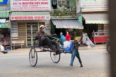 Bật cười với chiếc xe ngựa "tự chế"
