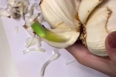 Giới trẻ rộ mốt chơi hoa thủy tiên giống thời ông bà ta xưa dịp Tết