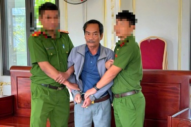 Bán đất nền chưa đủ điều kiện, tổng giám đốc bị bắt giam