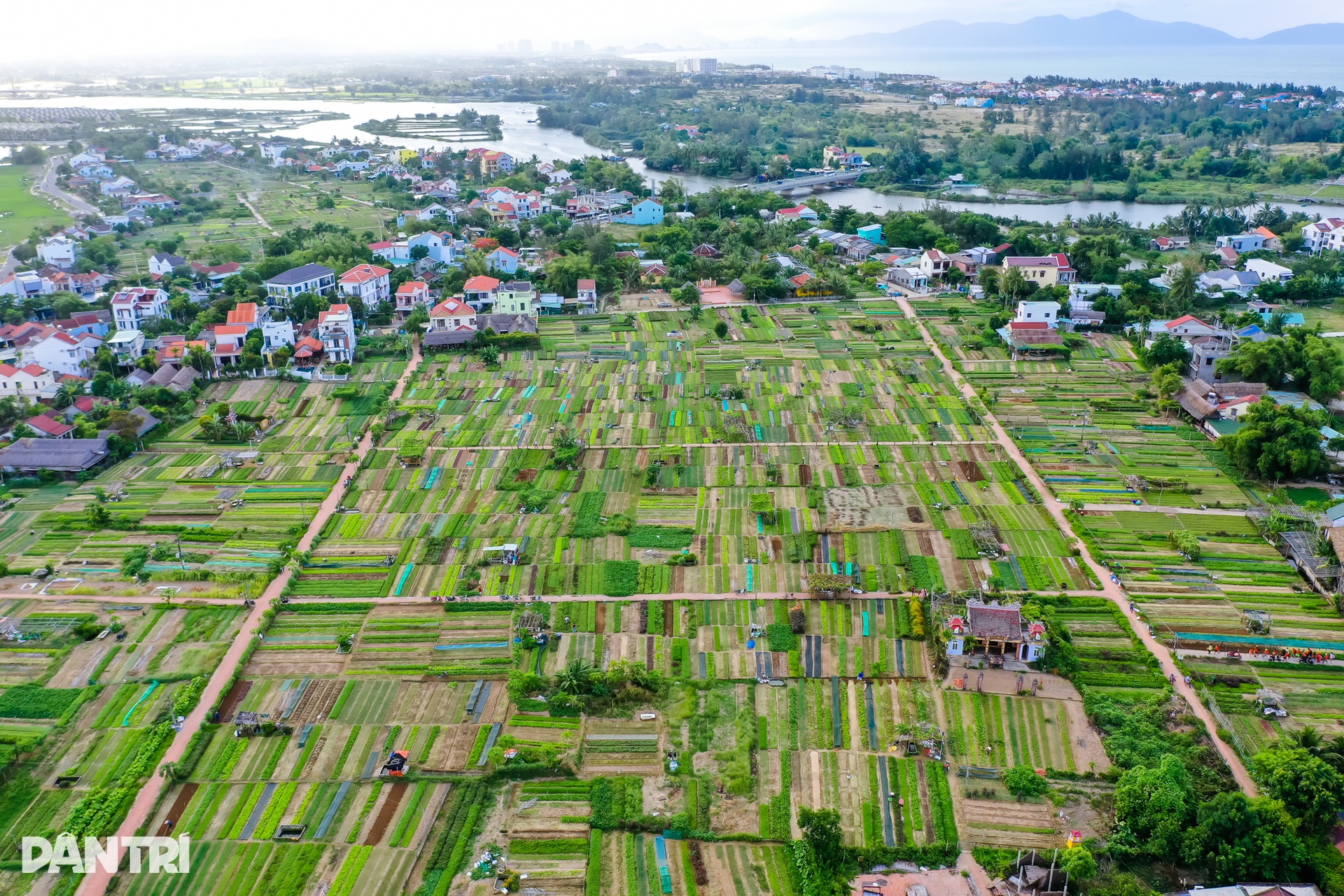 Trải nghiệm tại làng rau 400 năm tuổi vừa được công nhận di sản quốc gia - 1