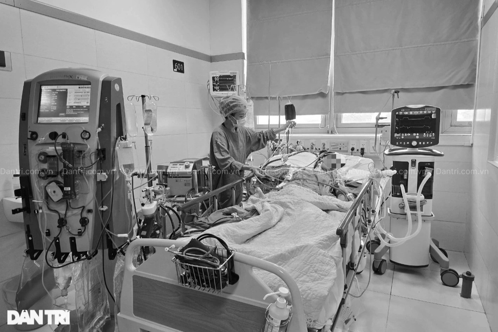 Vợ em không còn nhưng tình yêu thương của bạn đọc Dân trí vẫn còn mãi - 2 Vợ em không còn nhưng tình yêu thương của bạn đọc Dân trí vẫn còn mãi - 2