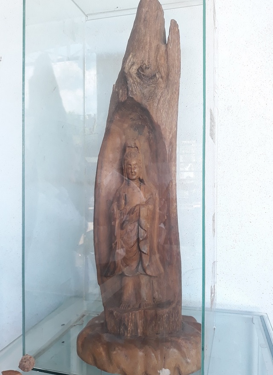 Bị nói khùng vì bỏ nghề giáo lên đồi trồng dó bầu, khi thu tiền tỷ thì... - 9 Bị nói khùng vì bỏ nghề giáo lên đồi trồng dó bầu, khi thu tiền tỷ thì... - 9