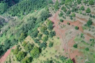 Lâm Đồng sơ tán người dân dưới chân ngọn đồi có vết nứt lớn