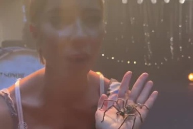 Nữ ca sĩ cho nhện bò lên mặt để quay MV ca nhạc
