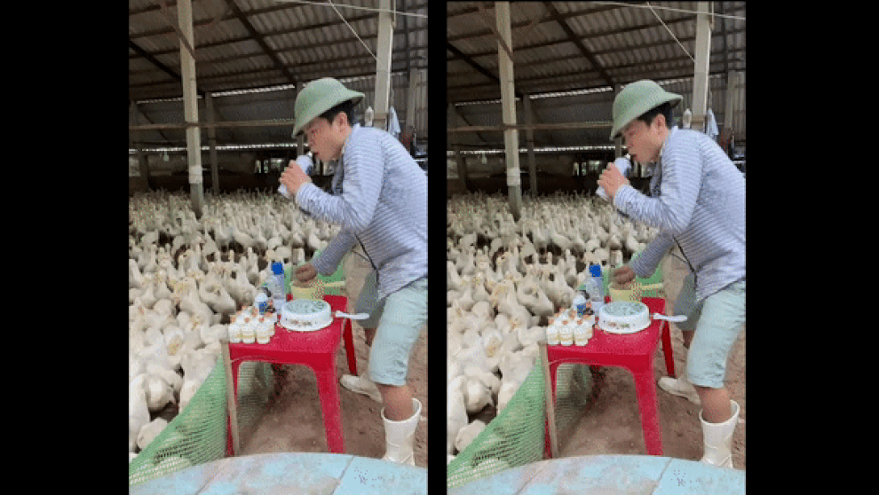 Anh nông dân bất ngờ nổi tiếng với màn chơi DJ trước đàn vịt ngàn con - 1 Anh nông dân bất ngờ nổi tiếng với màn chơi DJ trước đàn vịt ngàn con - 1