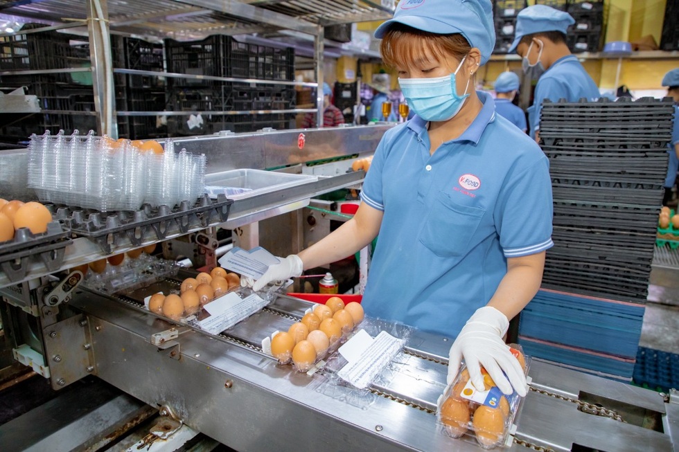 Tặng tiền, tăng lương... công nhân TPHCM vẫn nghỉ việc, bỏ phố về quê - 6 Tặng tiền, tăng lương... công nhân TPHCM vẫn nghỉ việc, bỏ phố về quê - 6