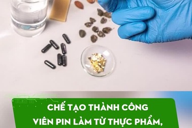 Chế tạo thành công viên pin làm từ thực phẩm, có thể ăn được