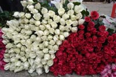 Thị trường 8/3 khởi động sớm