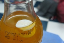 Đồ uống của Coca Cola "khuyến mãi" dị vật