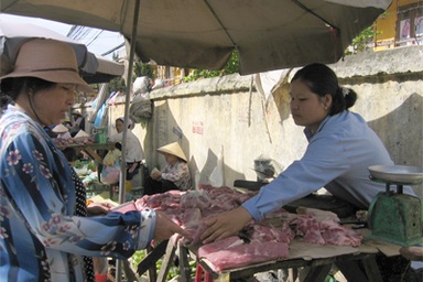 Tăng cường kiểm soát sử dụng “chất cấm” trong chăn nuôi 