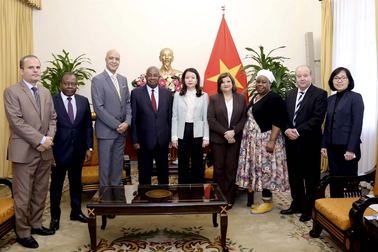 Mở rộng hợp tác Việt Nam - châu Phi: Quan hệ đối tác đôi bên cùng có lợi