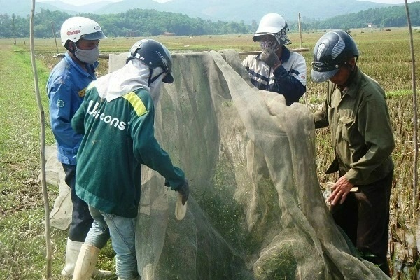 Đi xe máy lượn khắp đồng săn tôm bay, kiếm tiền triệu mỗi ngày - 4 Đi xe máy lượn khắp đồng săn tôm bay, kiếm tiền triệu mỗi ngày - 4