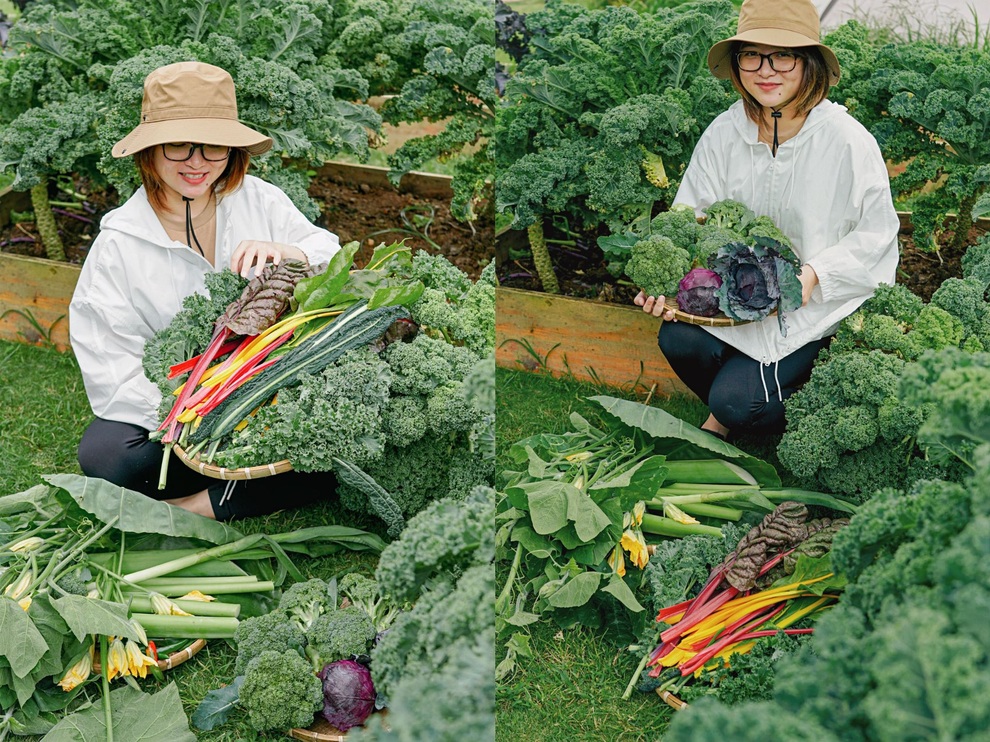 Gia đình Sài Gòn bỏ phố về rừng, biến đồi trọc thành trang trại trong mơ - 10