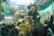 Dưới mái "Nhà Xanh"