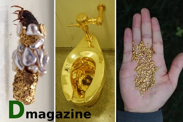 Vàng trong những biểu diễn nghệ thuật gây sốc nhất