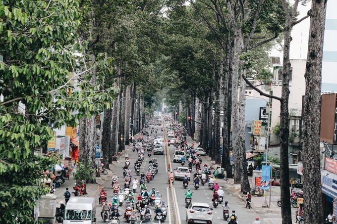 Sau vụ cây xanh bật gốc đè chết người: Vẫn còn nhiều cây đã già cỗi có rễ lộ thiên, nhánh vươn ra mặt đường ở Sài Gòn - Ảnh 2. Sau vụ cây xanh bật gốc đè chết người: Vẫn còn nhiều cây đã già cỗi có rễ lộ thiên, nhánh vươn ra mặt đường ở Sài Gòn - Ảnh 2.