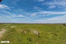 Những cánh đồng muối hơn 100 năm bỏ hoang