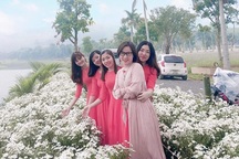 Thung lũng hoa Phủ Quỳ, điểm "check in" tuyệt đẹp giữa núi đồi xứ Nghệ