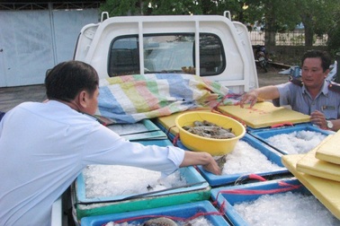 Chủ tịch tỉnh Bạc Liêu: “Ký cam kết thì phải quyết liệt, chứ nói mà không làm thì không hiệu quả gì đâu”.