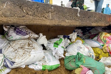 Quyết tâm không để vỡ bờ kè bên sông Thu Bồn