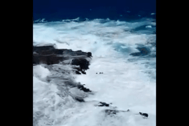 Mải “sống ảo”, cặp đôi bị sóng lớn đánh “sấp mặt” rồi cuốn trôi ra biển