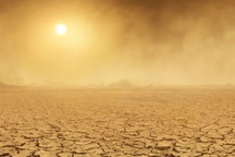 El Nino tàn khốc đã gây tuyệt chủng hàng loạt trên Trái Đất