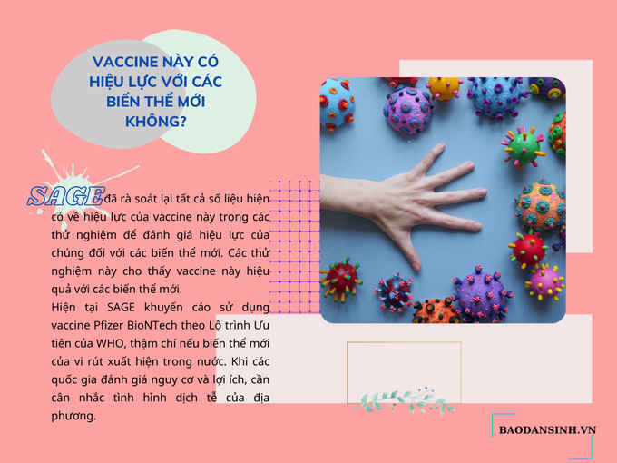 Những điều cần biết về vaccine phòng COVID-19 của Pfizer BioNTech - Ảnh 8.