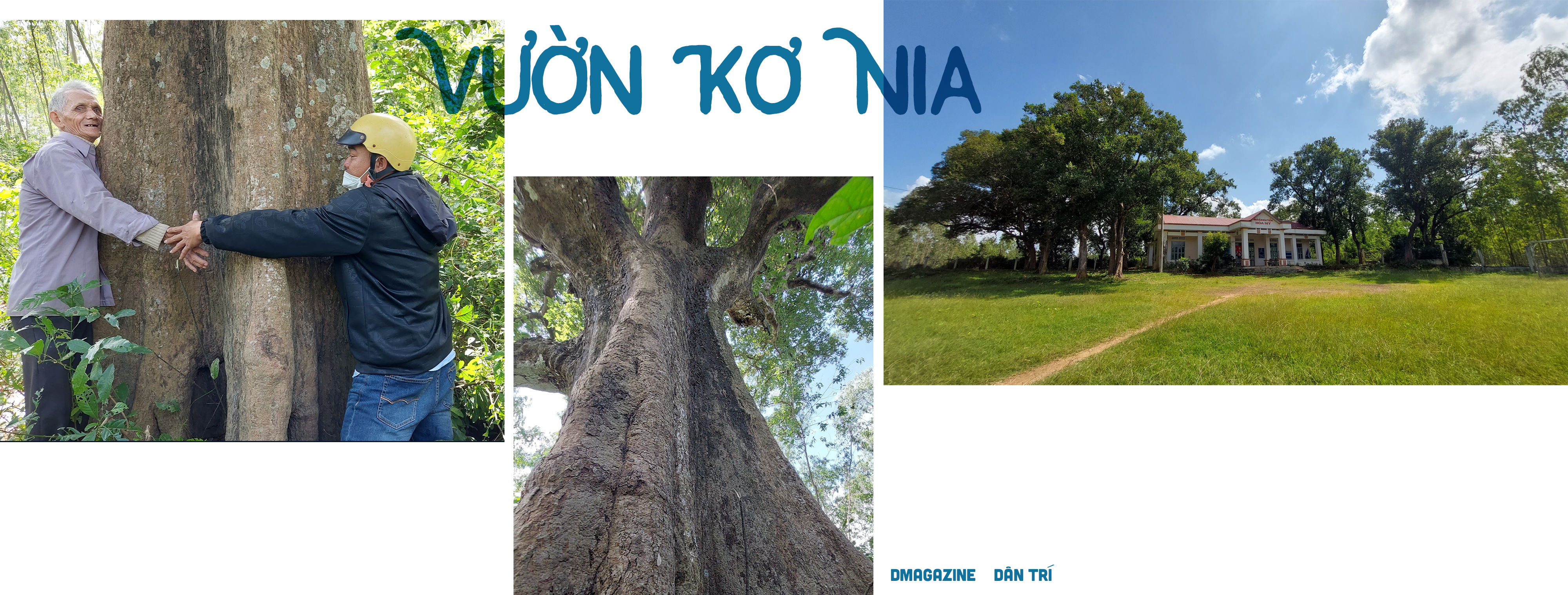 Báu vật hơn trăm năm tuổi độc nhất ở đồng bằng - 3 Báu vật hơn trăm năm tuổi độc nhất ở đồng bằng - 3