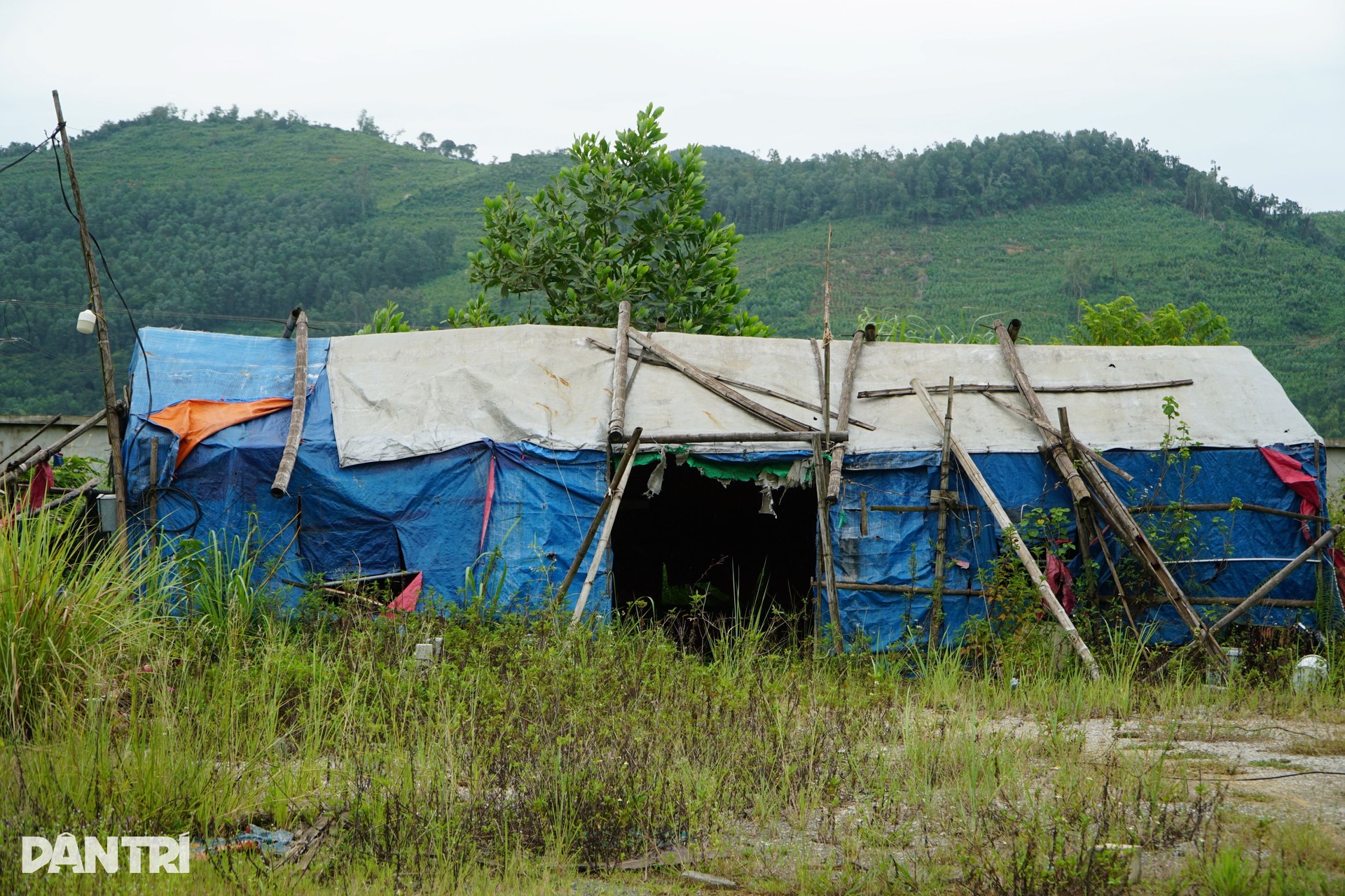 Dự án trường mầm non gần 30 tỷ đồng ở Thanh Hóa dang dở, cỏ dại mọc um tùm - 10