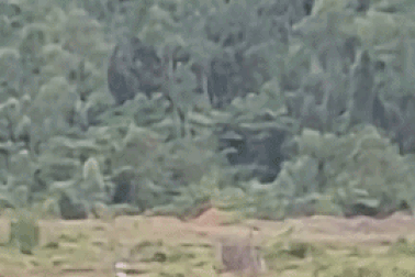 Quả bom dài hơn 1m còn nguyên đầu nổ trong vườn nhà dân