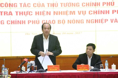 Thủ tướng ghi nhận công tác phòng chống cơn bão số 10