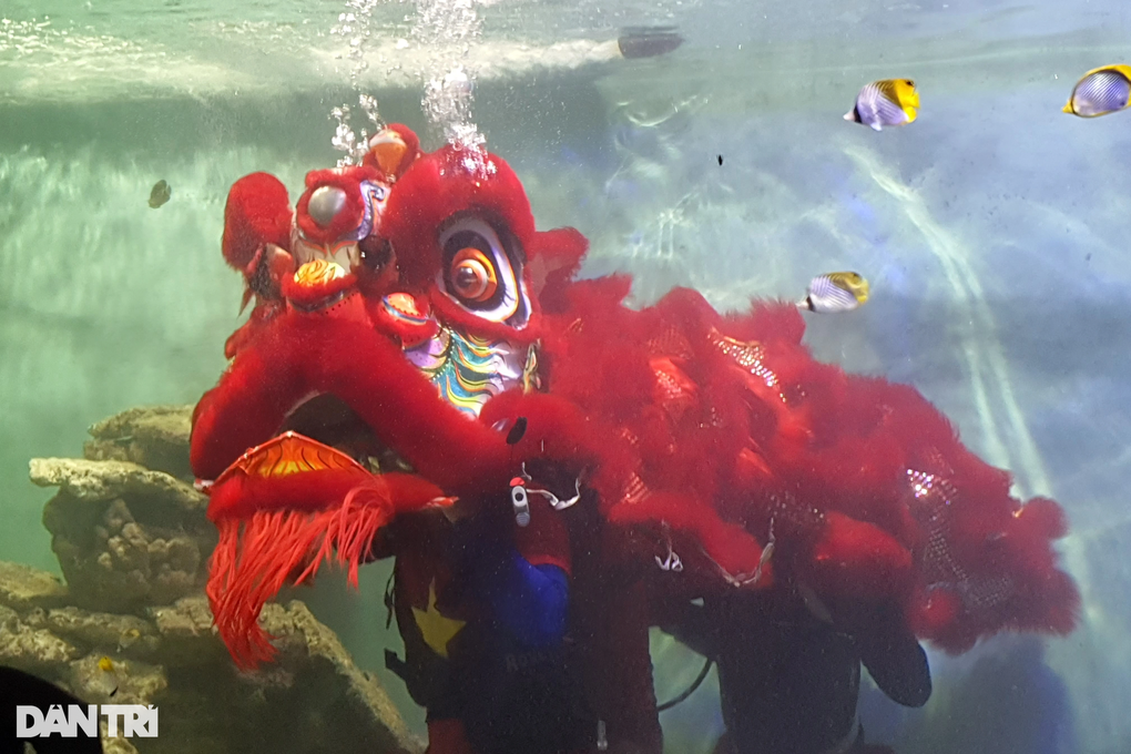 Độc đáo múa lân dưới nước ở Nha Trang - 1