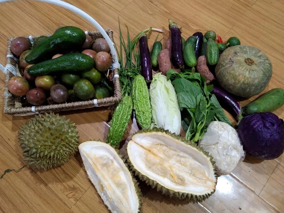Điêu đứng vì dịch, nhân viên trẻ cầu cứu bố mẹ: Cho con vay ít tiền! - 1 Điêu đứng vì dịch, nhân viên trẻ cầu cứu bố mẹ: Cho con vay ít tiền! - 1