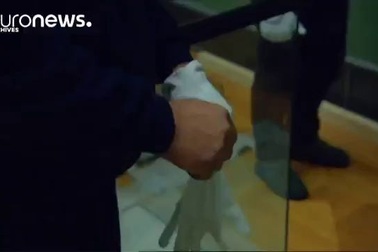 Đồng xu vàng nặng 100kg bị đánh cắp vẫn “bặt vô âm tín”