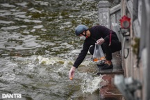 Hà Nội: Ngựa của ông Táo chưa kịp về trời đã "ngửa" bụng sau khi xuống nước