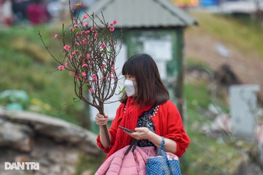 Đào Nhật Tân xuống phố sớm, giá đắt vẫn có khách chi tiền