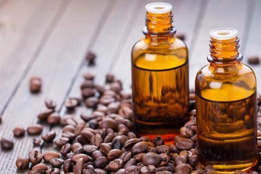 Bã cà phê và những ý tưởng khởi nghiệp táo bạo