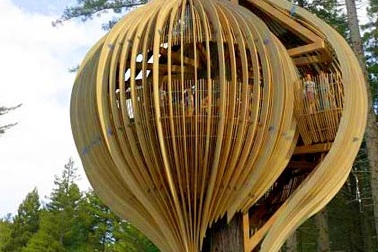 Nhà hàng hình rọ cá “lủng lẳng” trên cây