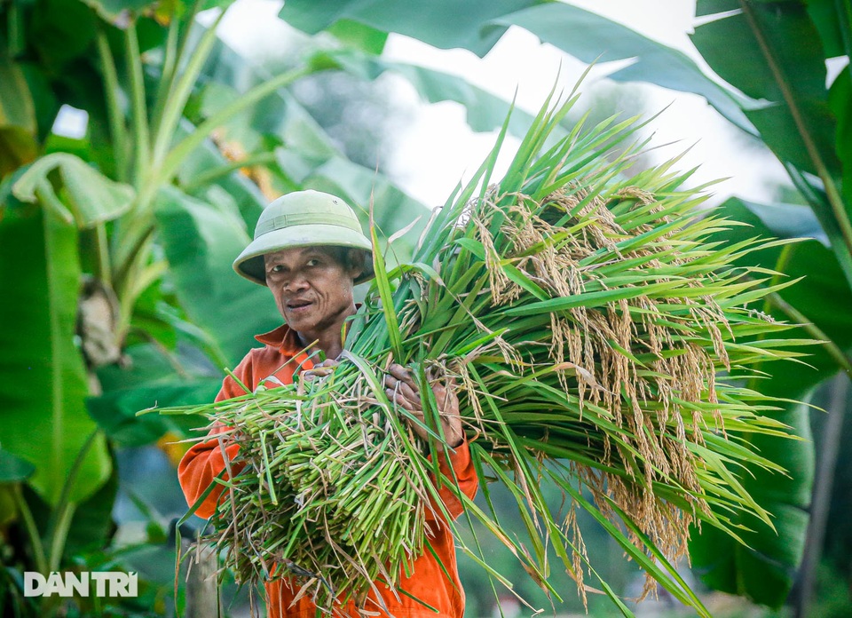 Những hình ảnh khiến người con xứ Nghệ xa xứ bồi hồi nhớ nhung - 7 Những hình ảnh khiến người con xứ Nghệ xa xứ bồi hồi nhớ nhung - 7