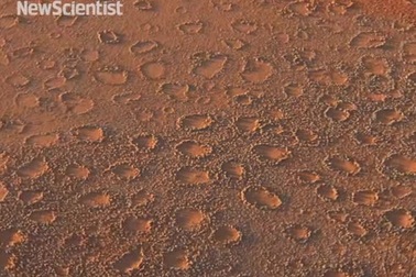 Những vòng tròn bí ẩn ở sa mạc Namibia