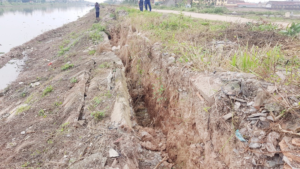 Ninh Bình: “Hà bá” đe dọa “nuốt” trăm mét đê, dân nơm nớp lo sợ - 3 Ninh Bình: “Hà bá” đe dọa “nuốt” trăm mét đê, dân nơm nớp lo sợ - 3