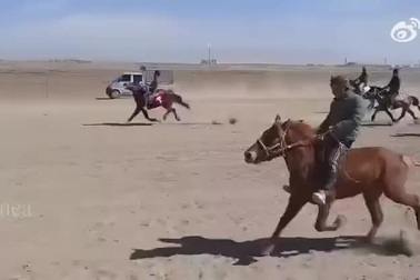 Bật cười với chú ngựa có kiểu bước chạy "không đụng hàng"