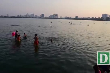 Người dân tắm hồ Tây giải nhiệt mặc mùi cá chết