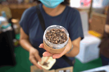 Xúc động hướng dẫn viên tiếng Nhật ngân nga "bài ca Phú Sĩ" vì nhớ nghề  Tạ
