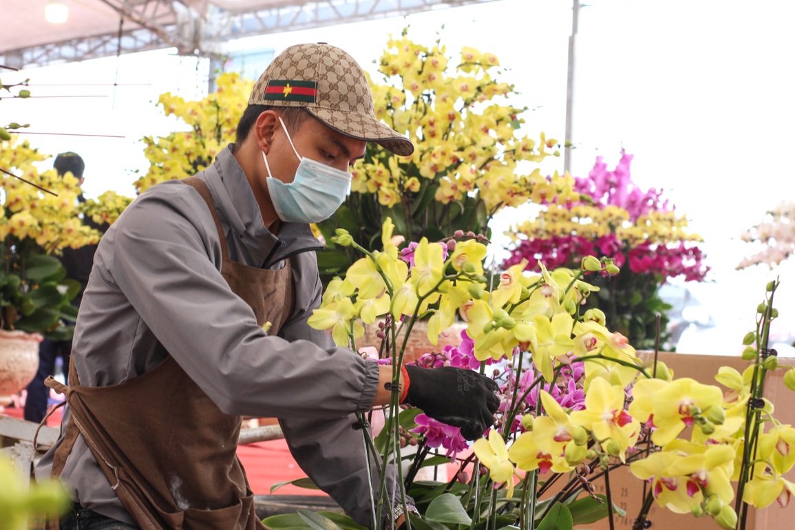 Vượt 300km xuống Thủ đô cắm hoa lan vụ Tết, bỏ túi tiền triệu mỗi ngày - 4 Vượt 300km xuống Thủ đô cắm hoa lan vụ Tết, bỏ túi tiền triệu mỗi ngày - 4