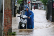 Sinh viên bị ảnh hưởng mưa lũ có thể được hoãn, giảm học phí