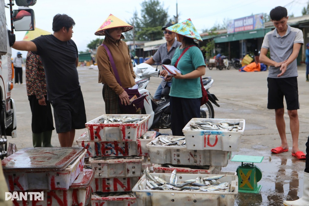 Ngư dân trúng mẻ cá 1 tấn, bán được 150 triệu đồng trước bão Kajiki - 2 Ngư dân trúng mẻ cá 1 tấn, bán được 150 triệu đồng trước bão Kajiki - 2